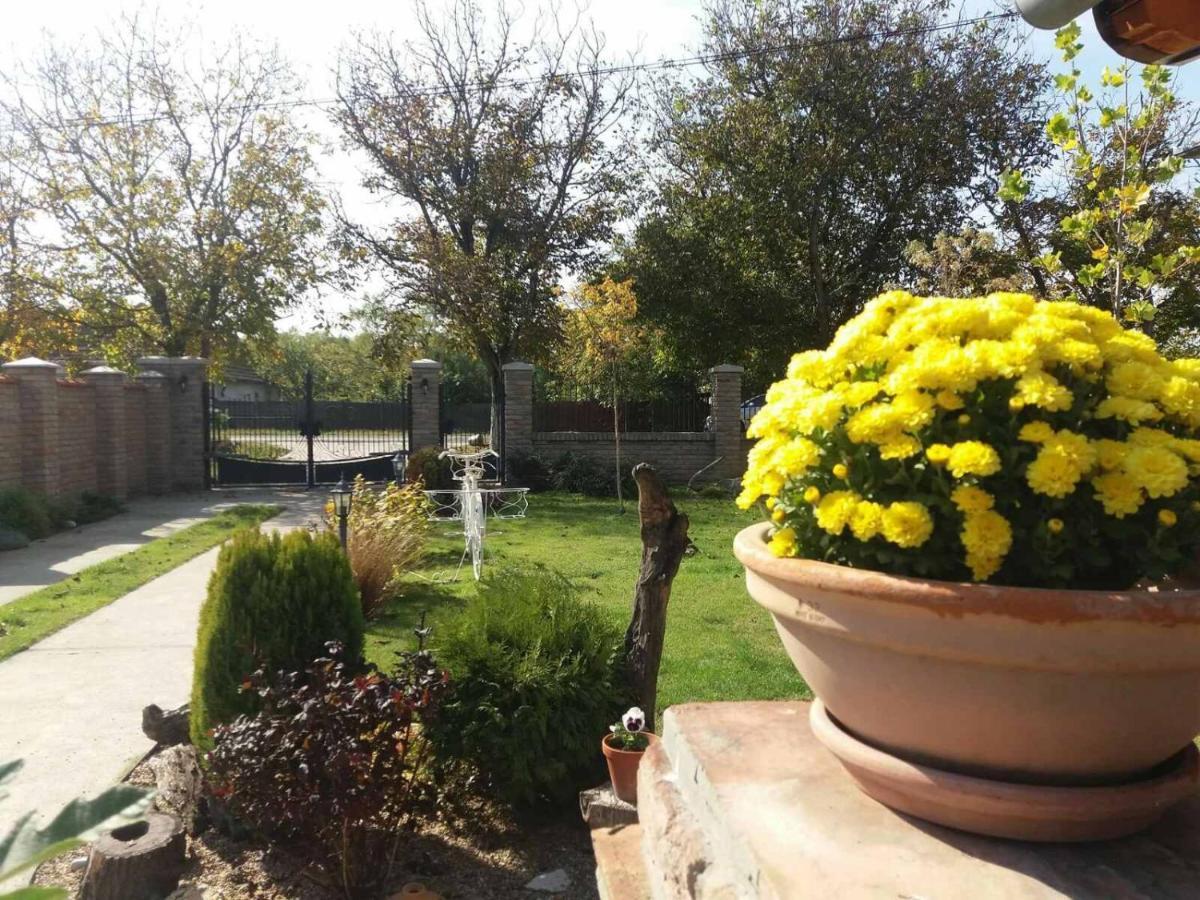 Rita Apartman & Studio Zrenjanin Exteriér fotografie