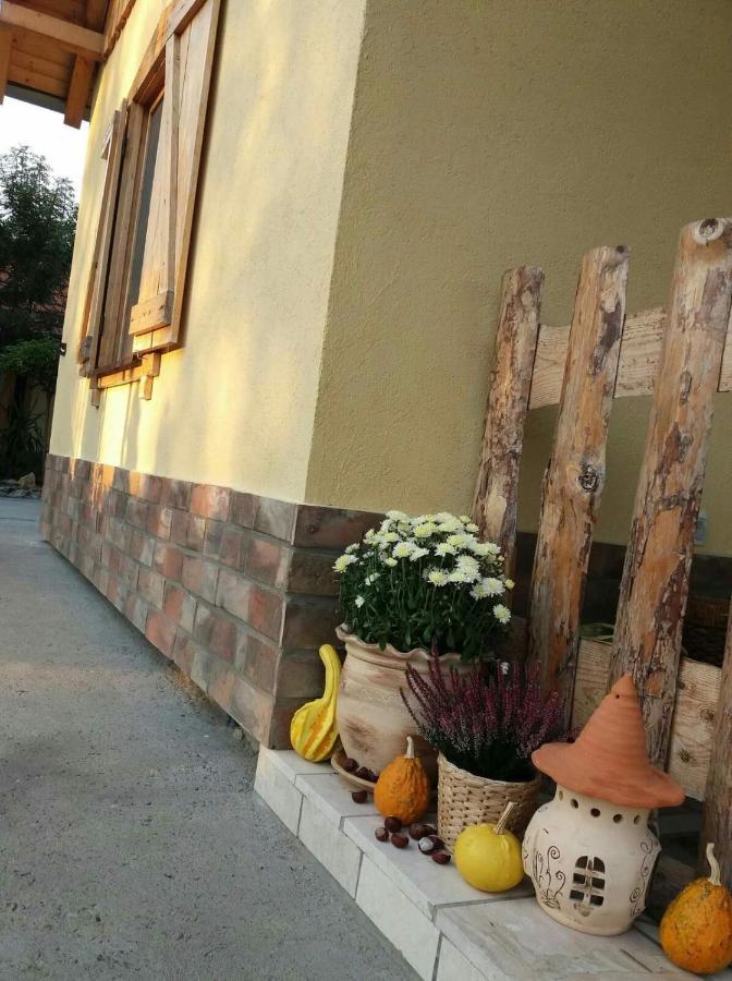 Rita Apartman & Studio Zrenjanin Exteriér fotografie
