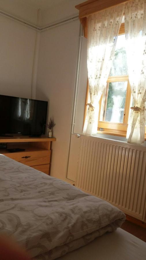 Rita Apartman & Studio Zrenjanin Exteriér fotografie